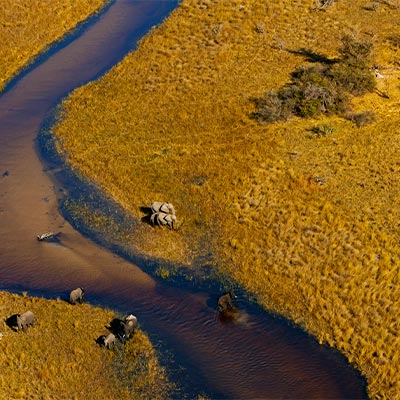 Botswana: el oasis más bello