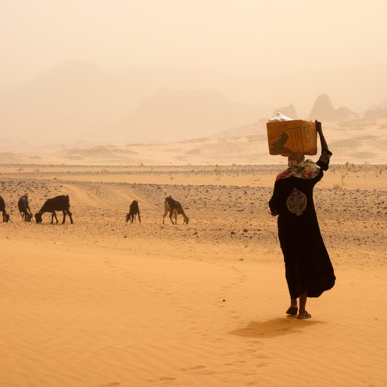 Sudán: por tierras de los faraones negros