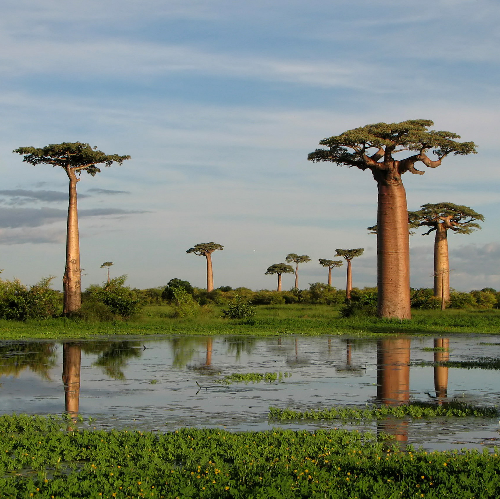 Madagascar: el paraíso que nunca acaba