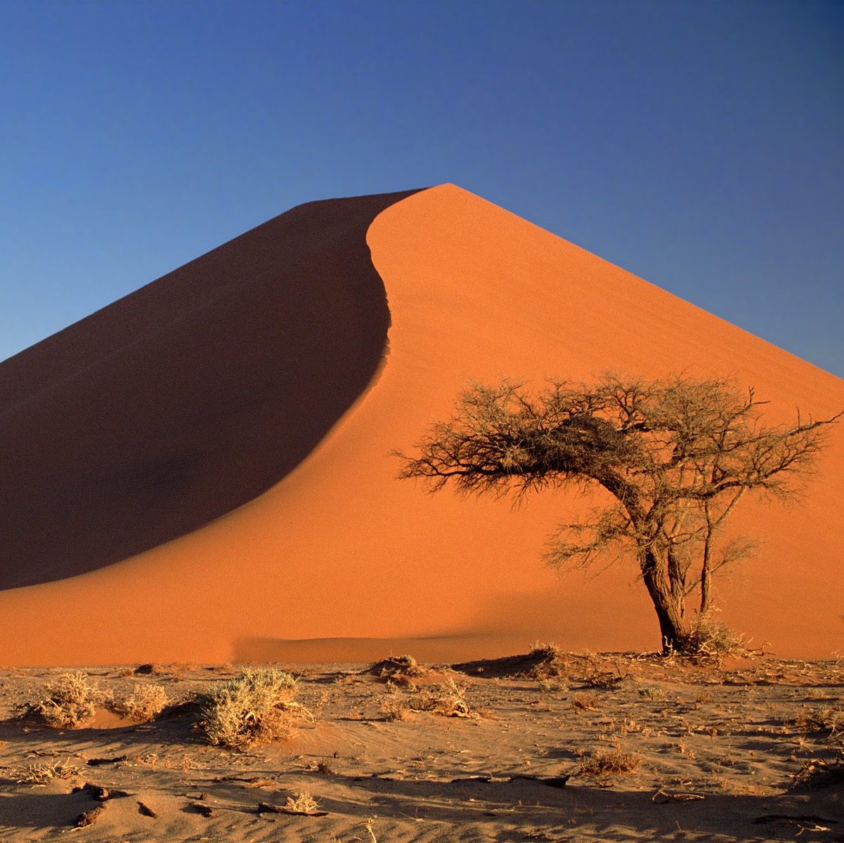 Namibia: misterios escondidos delante de tus ojos