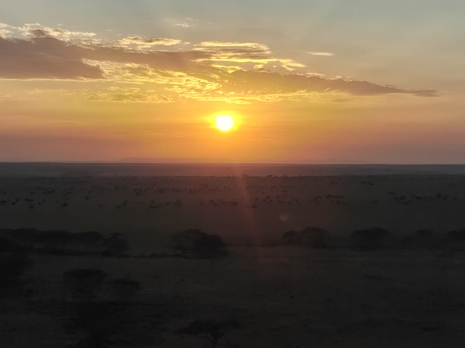 Tanzania, amanecer, patricia