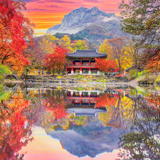 Corea del Sur