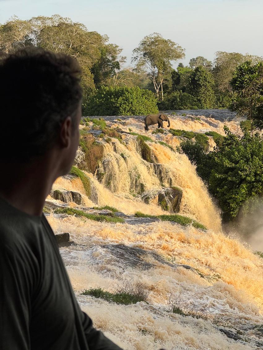 Elefante bañándose en GAbón